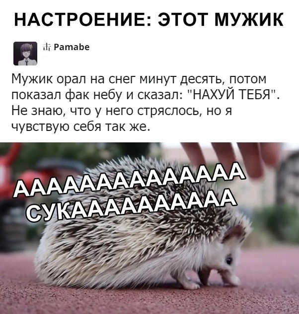 Скриншоты из социальных сетей (40 фото) Скриншоты из социальных сетей (40 фото)