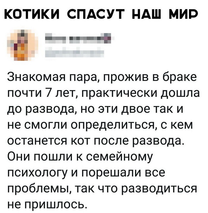 Скриншоты из социальных сетей (32 фото) Скриншоты из социальных сетей (32 фото)