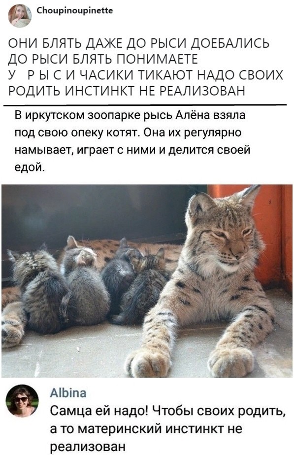 Скриншоты из социальных сетей (59 фото) Скриншоты из социальных сетей (59 фото)