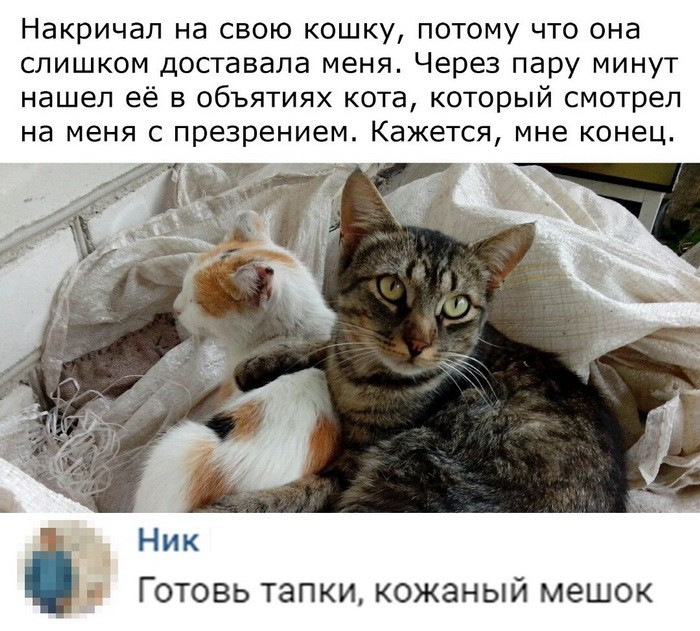 Скриншоты из социальных сетей (40 фото) Скриншоты из социальных сетей (40 фото)