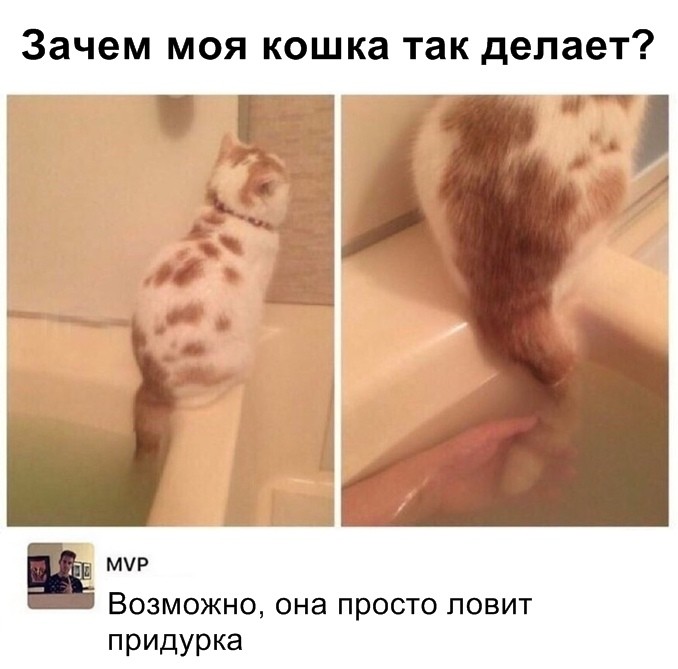 Скриншоты из социальных сетей (59 фото) Скриншоты из социальных сетей (59 фото)