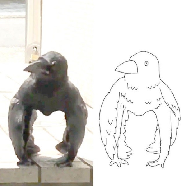Ворона-горилла - новый странный мем из Японии (8 картинок + видео)