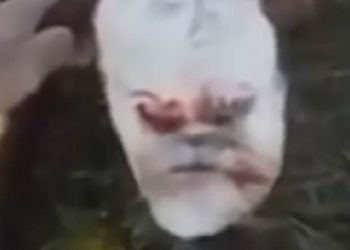 Теленок-мутант до смерти напугал фермеров (3 фото) Теленок-мутант до смерти напугал фермеров (3 фото)