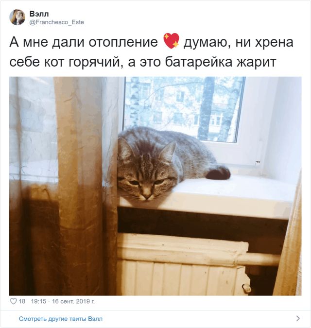 Забавные твиты от пользователей, которые никак не дождутся отопительного сезона (16 скриншотов) Забавные твиты от пользователей, которые никак не дождутся отопительного сезона (16 скриншотов)