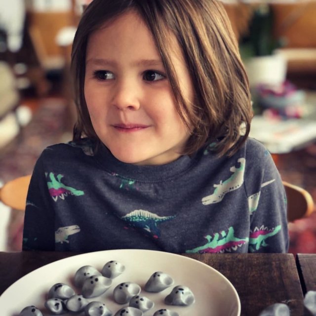 Шестилетний мальчик решил помочь Австралии и собрал 176 тысяч долларов (6 фото)