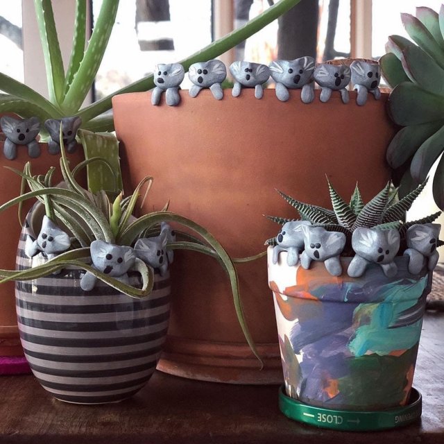 Шестилетний мальчик решил помочь Австралии и собрал 176 тысяч долларов (6 фото)