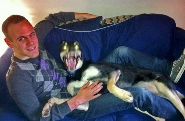 Подборка забавных фото, которые сделали в самый подходящий момент (30 фото)