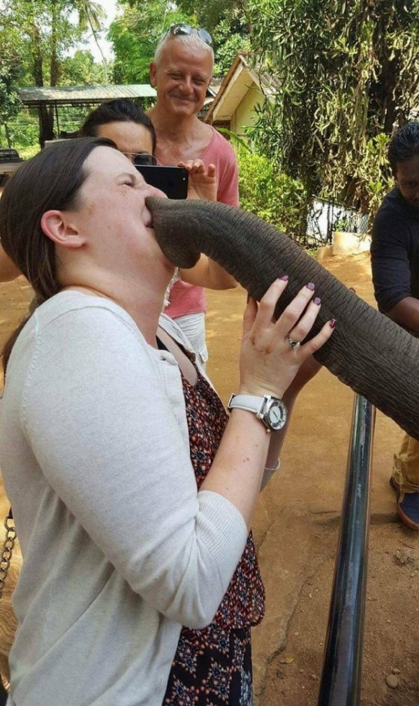 Подборка забавных фото, которые сделали в самый подходящий момент (30 фото)