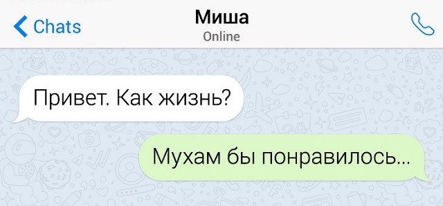 Забавные переписки с непредсказуемым финалом (17 скриншотов)
