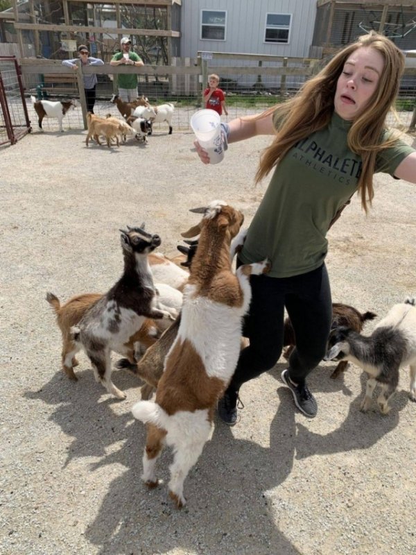 Подборка забавных фото, которые сделали в самый подходящий момент (30 фото)