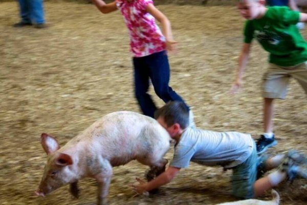 Подборка забавных фото, которые сделали в самый подходящий момент (30 фото)