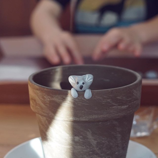 Шестилетний мальчик решил помочь Австралии и собрал 176 тысяч долларов (6 фото)