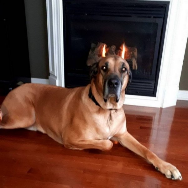 Подборка забавных фото, которые сделали в самый подходящий момент (30 фото)