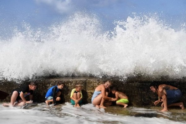 Подборка забавных фото, которые сделали в самый подходящий момент (30 фото)
