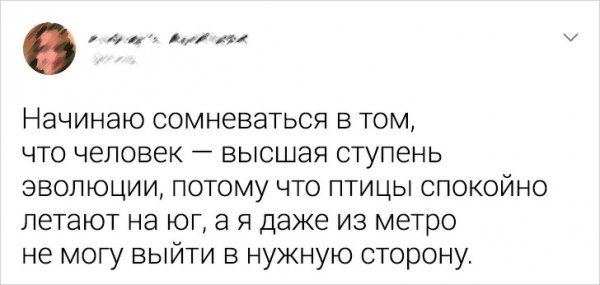 Ребята, у которых все в порядке с самоиронией (14 фото)