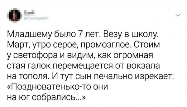 Забавные перлы, которыми дети поразили своих родителей (26 фото) Забавные перлы, которыми дети поразили своих родителей (26 фото)