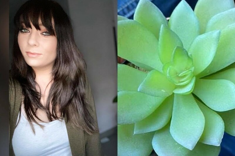 Женщина два года ухаживала за цветком, пока не поняла, что растение искусственное (3 фото)