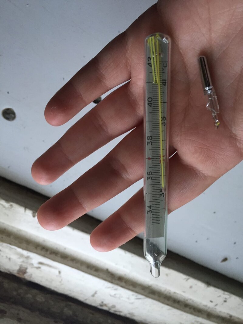 20 рукожопов на карантине: двойная катастрофа в вашей жизни (21 фото)