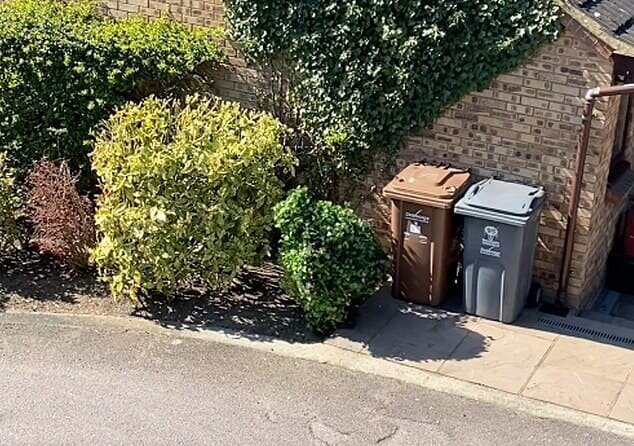 Парень замаскировался под куст, чтобы погулять на улице (5 фото + 1 видео)