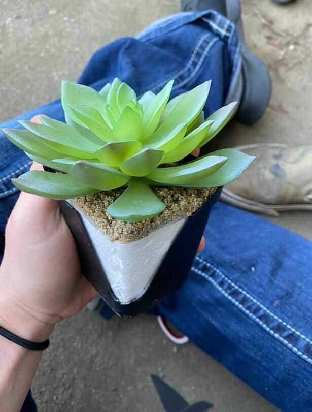 Женщина два года ухаживала за цветком, пока не поняла, что растение искусственное (3 фото)