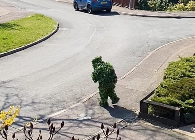 Парень замаскировался под куст, чтобы погулять на улице (5 фото + 1 видео)
