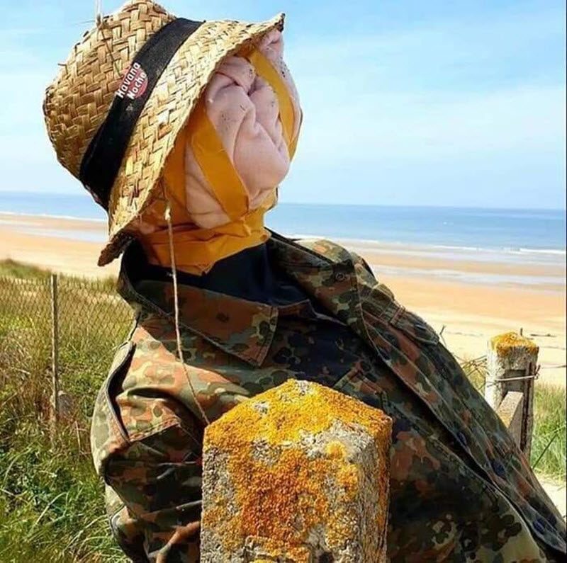 Немного смешного и жесткого троллинга (15 фото)