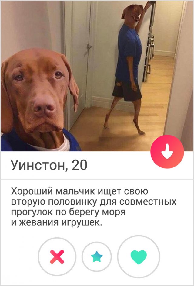 Забавные анкеты с сайта знакомств (16 фото) Забавные анкеты с сайта знакомств (16 фото)