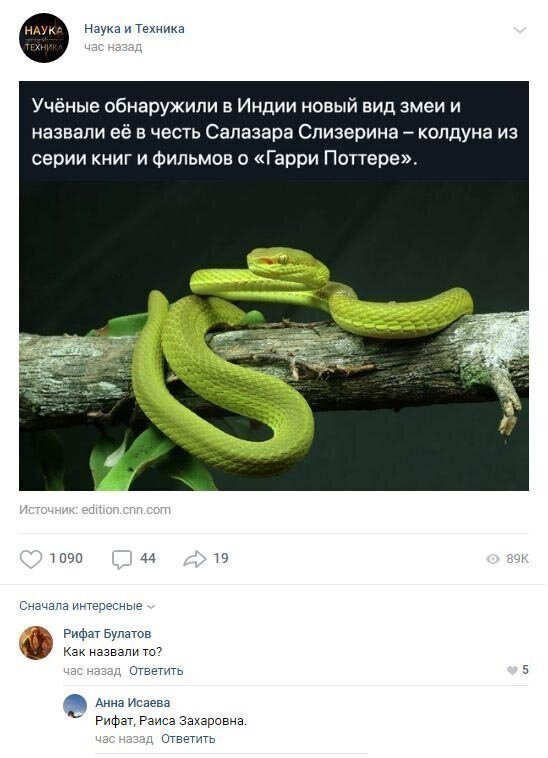 Смешные комментарии к постам в социальных сетях (15 фото)