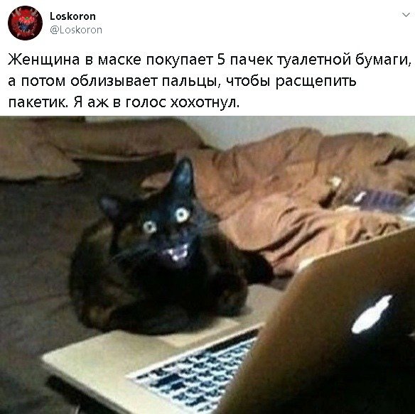 Коронавирус, самоизоляция и работа: как реагируют на карантин в Сети (14 фото)