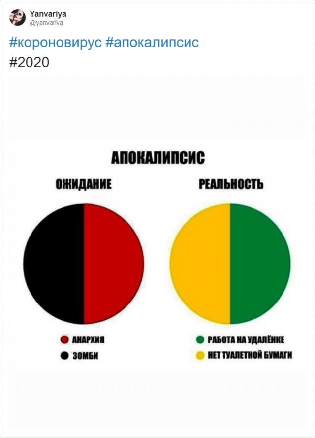 Коронавирус, самоизоляция и работа: как реагируют на карантин в Сети (14 фото)