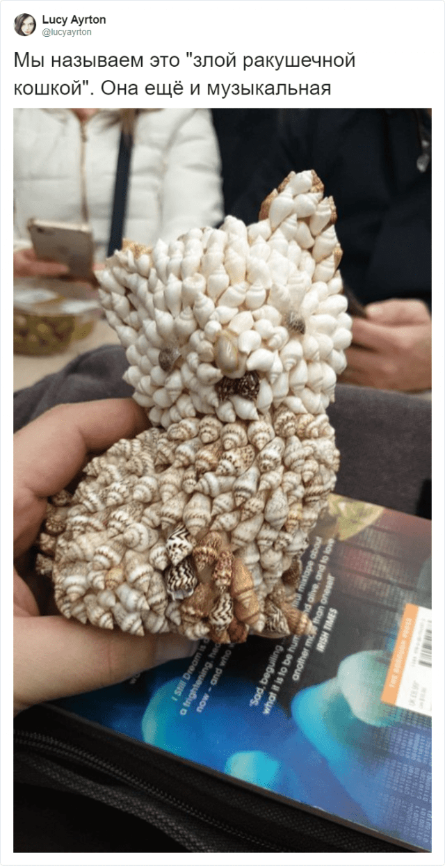 Странные и уродливые вещи, которые пользователи нашли у себя дома (18 фото)