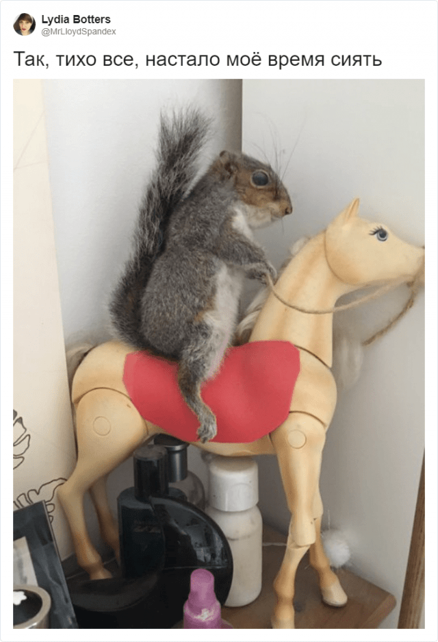 Странные и уродливые вещи, которые пользователи нашли у себя дома (18 фото)