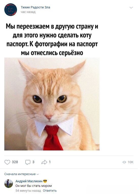 Смешные комментарии к постам в социальных сетях (15 фото)