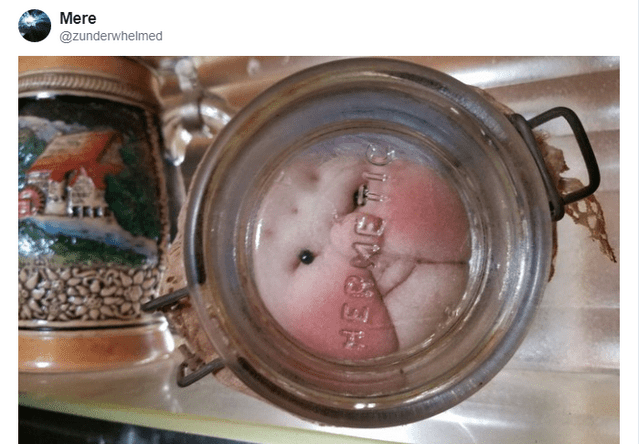 Странные и уродливые вещи, которые пользователи нашли у себя дома (18 фото)