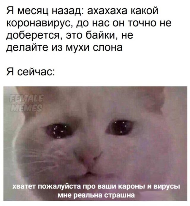 Коронавирус, самоизоляция и работа: как реагируют на карантин в Сети (14 фото)