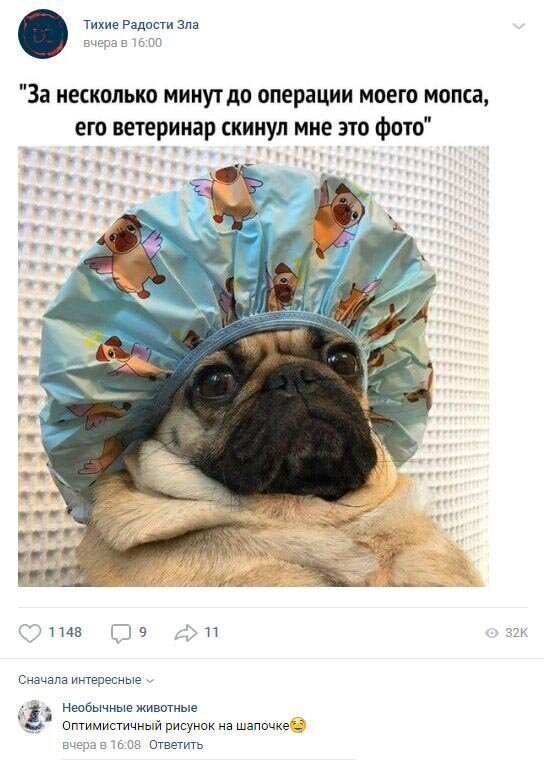 Смешные комментарии к постам в социальных сетях (15 фото)