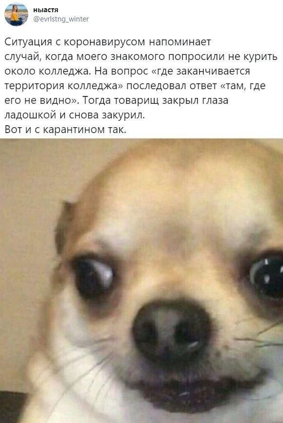 Коронавирус, поправки и ЕГЭ: о чем шутят в Сети (15 фото) Коронавирус, поправки и ЕГЭ: о чем шутят в Сети (15 фото)