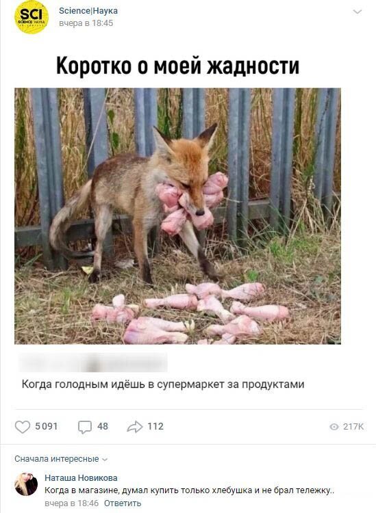 Комментарии к постам в разных группах (58 фото) Комментарии к постам в разных группах (58 фото)