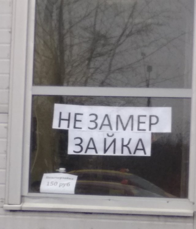 Подборка забавных и очень неудачных вывесок (15 фото)