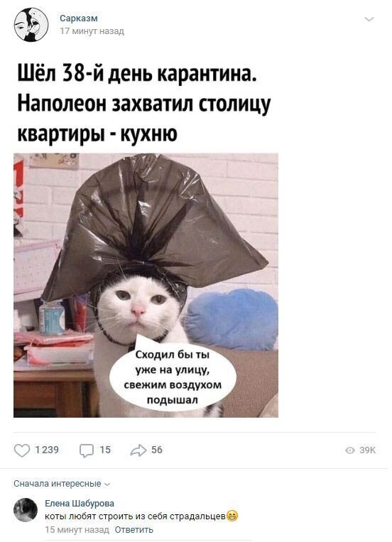 Комментарии к постам в разных группах (58 фото) Комментарии к постам в разных группах (58 фото)