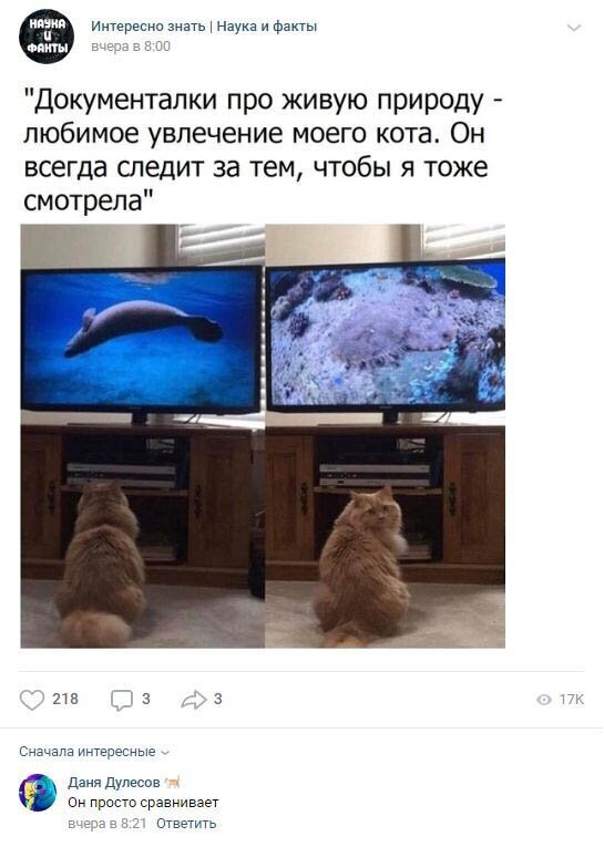Комментарии к постам в разных группах (58 фото) Комментарии к постам в разных группах (58 фото)