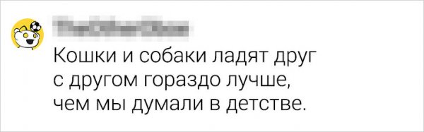 Подборка странных мыслей, которые мешают нам спать (18 фото) Подборка странных мыслей, которые мешают нам спать (18 фото)
