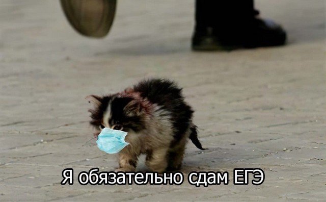Коронавирус, поправки и ЕГЭ: о чем шутят в Сети (15 фото) Коронавирус, поправки и ЕГЭ: о чем шутят в Сети (15 фото)