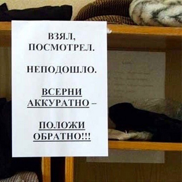 Ошибки странности в словах и предложениях, над которыми не стыдно посмеяться (10 фото) Ошибки странности в словах и предложениях, над которыми не стыдно посмеяться (10 фото)
