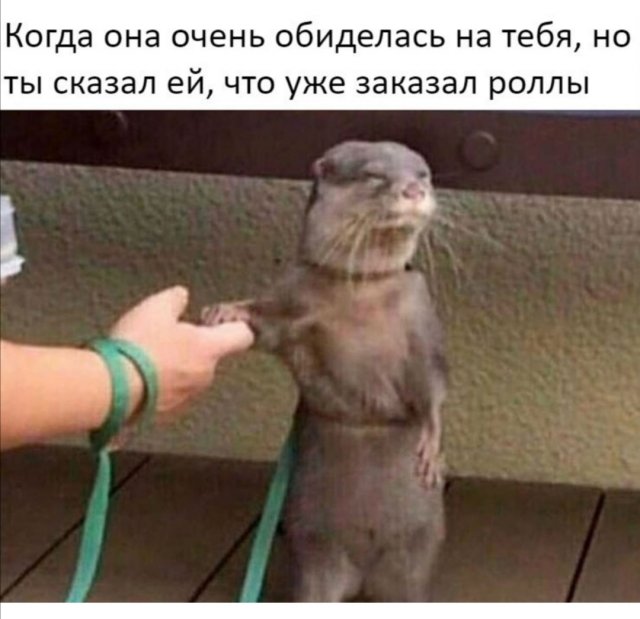Шутки и мемы про современных девушек (15 фото) Шутки и мемы про современных девушек (15 фото)
