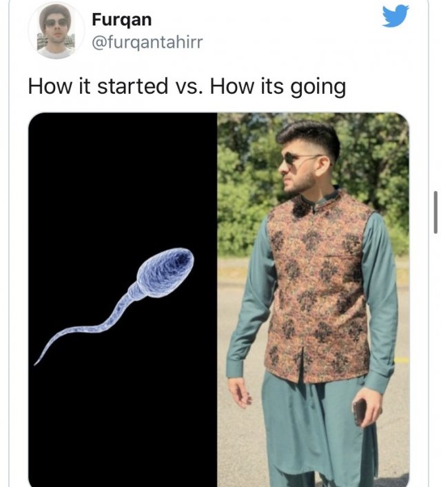 How is started. How it started how it&#039;s going.
