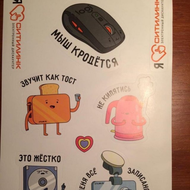 Ошибки, связанные с флорой и фауной (10 фото)