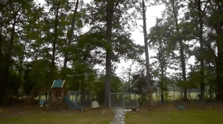 Подборка забавных и эпичных фейлов (15 гифок)