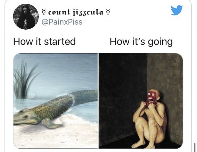 Новый флешмоб How it started/How it's going (15 фото)