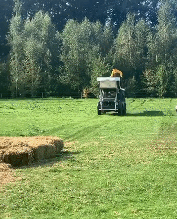 Подборка автомобильных трюков и фейлов (12 гифок)